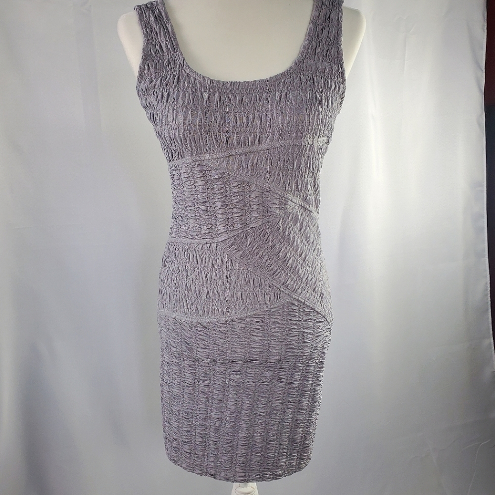 Charlotte Russ Sleek Gray Dress